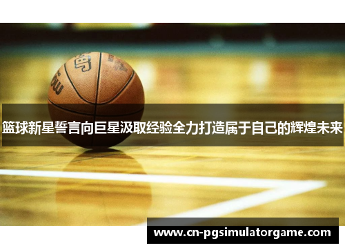 篮球新星誓言向巨星汲取经验全力打造属于自己的辉煌未来