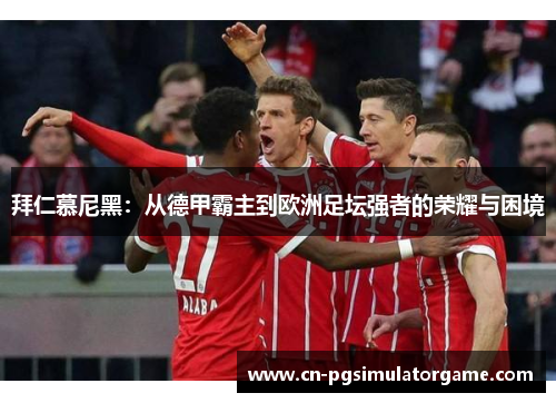 拜仁慕尼黑：从德甲霸主到欧洲足坛强者的荣耀与困境