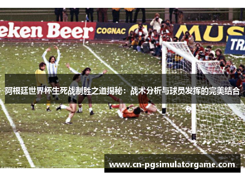阿根廷世界杯生死战制胜之道揭秘：战术分析与球员发挥的完美结合